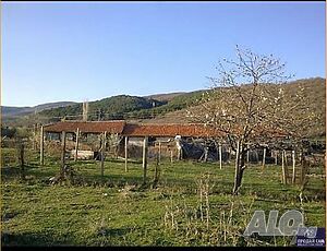 Имот с. Малко Чочовени 1 - storey 300 sq. m. built-up area 1900 sq. m. courtyard | Houses / Villas | Malko Chochoveni