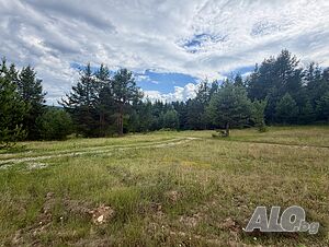 Инвестиционен парцел в близост до СПА и развлекателна зона Sale 6772 sq. m. Not regulated Without electricity Own water source | Land for development, Investment projects | Banya