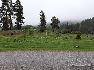 Парцел село Бели Искър 24 000 кв.м. Sale 24000 sq. m. Regulated (RLE) With electricity Water pipe | Land for development, Investment projects | Beli Iskar