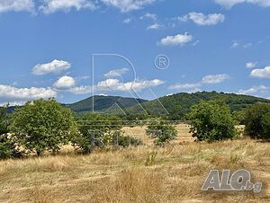 🌳 ИНВЕСТИЦИОНЕН ИМОТ С ГОЛЯМ ПОТЕНЦИАЛ В С. ГОЛЯМ ДОЛ Sale 6310 sq. m. Regulated (RLE) With electricity Water pipe | Land for development, Investment projects | Golyam dol