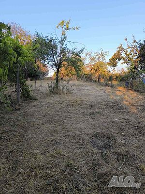 Продава парцел със стара къща в село Крушевец Sale 840 sq. m. Regulated (RLE) With electricity Water pipe | Land for development, Investment projects | Krushevets