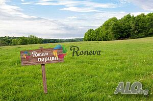 Sale 1198 sq. m. Not regulated | Land for development, Investment projects | Levski