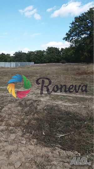 Продажба 1500 кв.м В регулация (УПИ) Sale 1500 sq. m. Regulated (RLE) Without electricity Without water | Land for development, Investment projects | Priseltsi