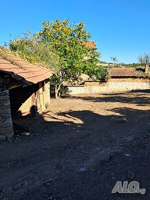 Продавам парцели Sale 893 sq. m. Regulated (RLE) With electricity Water pipe | Land for development, Investment projects | Община Белово Dabravite