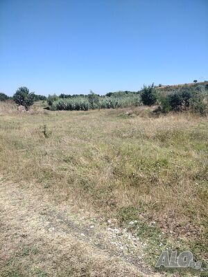 Земеделска земя Grazing ground 1000 sq. m. Sixth category | Agricultural land, Orchards, Vineyards, Forests | Ravnets