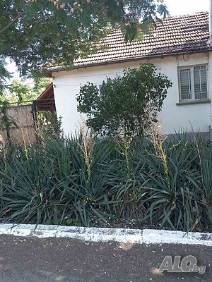 Къща в с. Бутан 1 - storey 65 sq. m. built-up area 1032 sq. m. courtyard | Houses / Villas | Butan