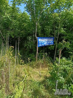 Дворно масто за жилищно строителство гр. Кнежа Sale 535 sq. m. Regulated (RLE) With electricity Own water source | Land for development, Investment projects | Стефан Цанов 1Б Knezha