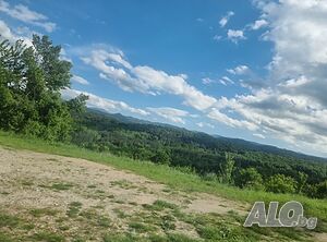 Широколисна Гора Дълбок дол Forest 37000 sq. m. Ninth category | Agricultural land, Orchards, Vineyards, Forests | Бързи дол Dalbok dol