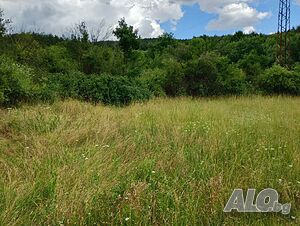 Дворно място в с. Елхово общ. Николаево Sale 1067 sq. m. Regulated (RLE) Without electricity Without water | Land for development, Investment projects | Елхово Elhovo