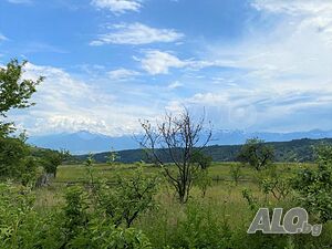 Равен парцел в регулация в с. Добърско Sale 3000 sq. m. Regulated (RLE) | Land for development, Investment projects | Dobarsko