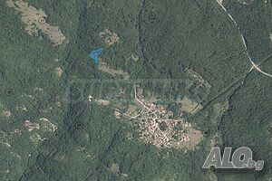 Земеделска земя до с. Бръшлян, в полите на Странджа планина Agricultural land 3632 sq. m. | Agricultural land, Orchards, Vineyards, Forests | Malko Tarnovo