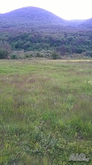 Място в с. Лопушна, Годечко с прекрасен изглед към планината. Agricultural land 1060 sq. m. Seventh category | Agricultural land, Orchards, Vineyards, Forests | гр. Годеч Lopushnya