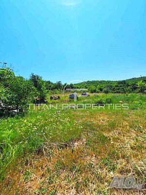 Парцел в Брацигово Sale 1300 sq. m. Not regulated With electricity Water pipe | Land for development, Investment projects | Bratsigovo