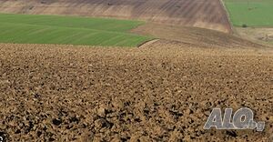 Земеделска земя село Бата Agricultural land 19678 sq. m. Third category | Agricultural land, Orchards, Vineyards, Forests | Bata