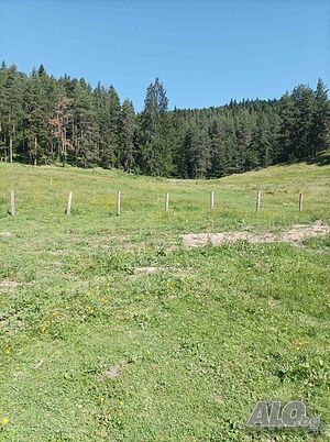 Продава парцел Sale 498 sq. m. Regulated (RLE) Without electricity Without water | Land for development, Investment projects | Yundola