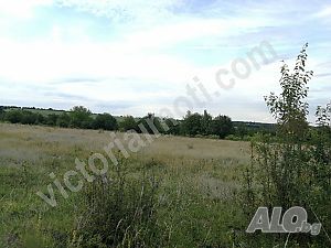 Парцел в с. Ветринци! Sale 2033 sq. m. Not regulated Without electricity Without water | Land for development, Investment projects | Vetrintsi