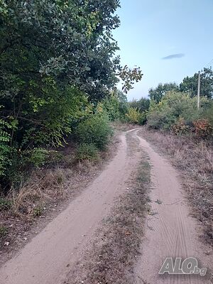 Продавам парцел във вилна зона над с. Златосел Sale 5700 sq. m. Regulation pending Without electricity Without water | Land for development, Investment projects | Златосел Brezovo