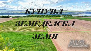 Купува земя до 45 дка в общ. Добричка. | Looking to buy | Dobrich