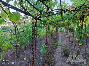 450 кв.м Парцел - Гази баба! Sale 450 sq. m. Not regulated With electricity Water pipe | Land for development, Investment projects | villa zone Loziata Dobrich