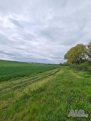 ПАРЦЕЛ земеделски, до София, близо асфалтов път Sale 2500 sq. m. Not regulated With electricity Own water source | Land for development, Investment projects | До Асфалтов Път Gorni Bogrov