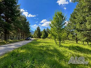 УПИ за продажба край Разлог - в местност Бойков рид Sale 769 sq. m. Regulated (RLE) Without electricity Without water | Land for development, Investment projects | Razlog