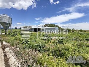 Продажба на стопански комплекс (бивш птицекомплекс) с площ 14 145 кв.м в с. Церетелево Farm 14144 sq. m. | Warehouses, industrial and agricultural properties  | Tseretelevo