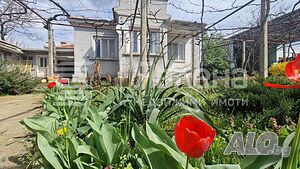 Хубав имот 1 - storey 150 sq. m. built-up area 1100 sq. m. courtyard | Houses / Villas | Shivachevo