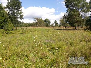 Дворно място с основи на къща в село Денница 1 - storey 48 sq. m. built-up area 700 sq. m. courtyard | Houses / Villas | Dennitsa