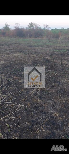 Празен двор в село Миладиновци Sale 1950 sq. m. Regulated (RLE) Without electricity Without water | Land for development, Investment projects | Miladinovtsi